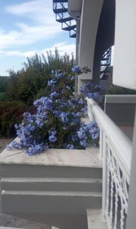 - 1st Floor Ixia (Rhodes)